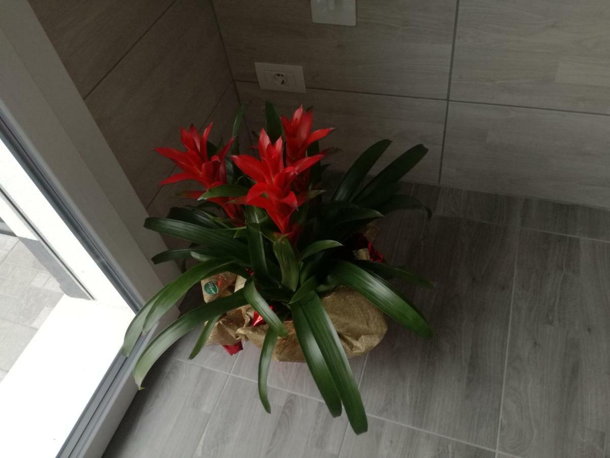 Alessietto Apartment Verona Ngoại thất bức ảnh